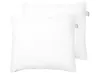 Conjunto de 2 almohadas ERRIGAL Alta 80 x 80 cm Microfibra Blanco