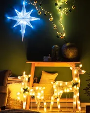 Outdoor Hanging Decoration LED OSMA 67 cm Star White_812555