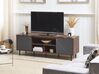 TV-Möbel grau / dunkler Holzfarbton 160 x 40 x 56 cm PALMER_760462