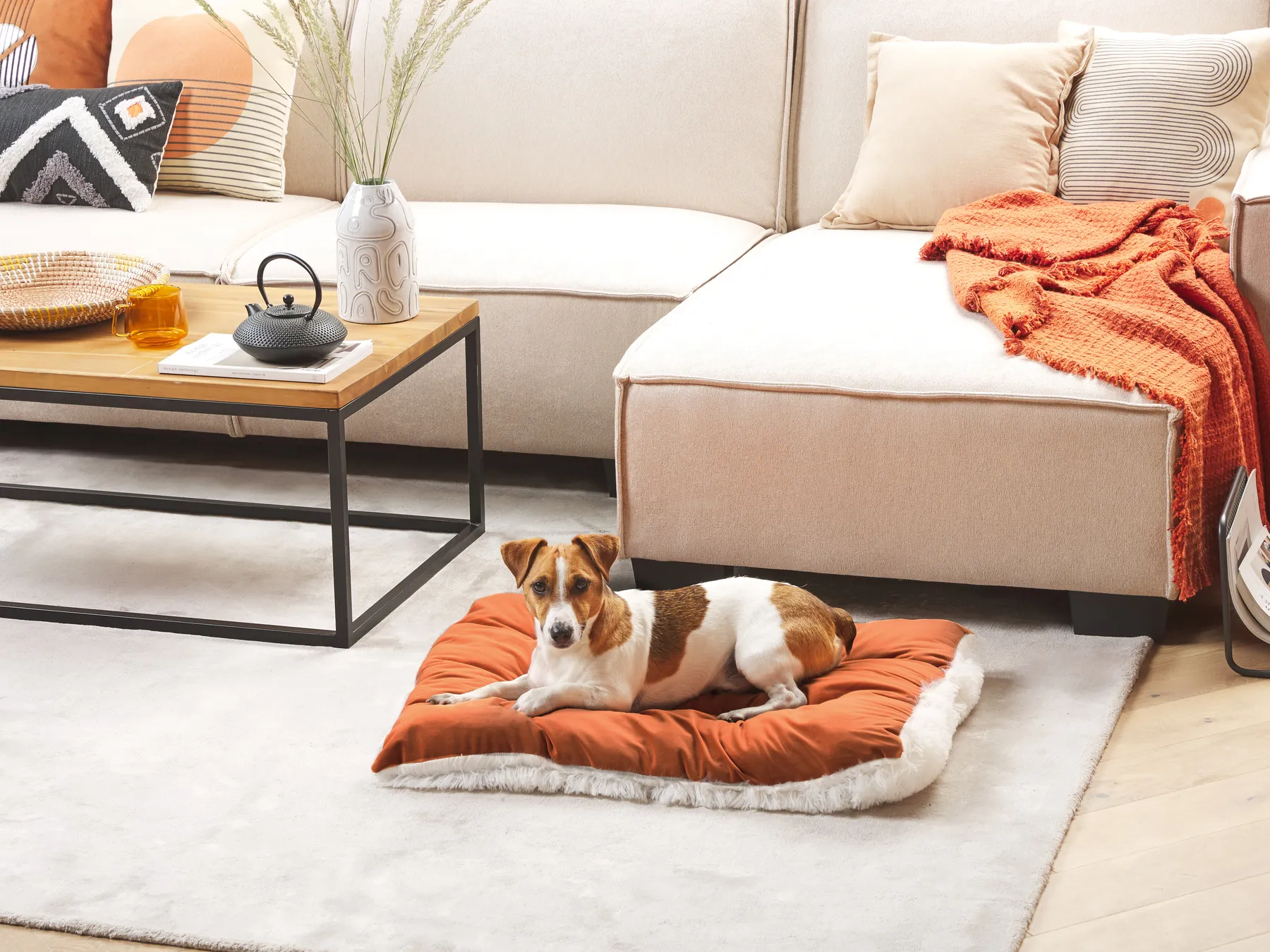 Pet Bed ERGANI Velvet Orange_826428