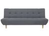 Fabric Sofa Bed Grey ALSTEN_806921