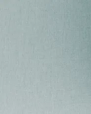 Set of 2 Dining Chairs Swivel AVELAR Fabric Light Blue_945020