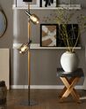2 Light Floor Lamp Transparent Shades OWENS_731850
