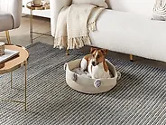 Cuccia per animali ORTACA Cotone Beige chiaro_1172698