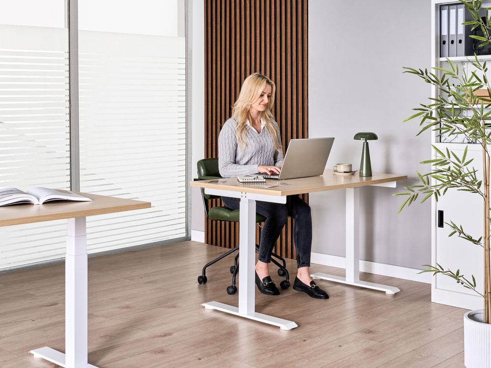 Electric Adjustable Standing Desk DESTINES 120 cm 72 cm Light Brown/ White