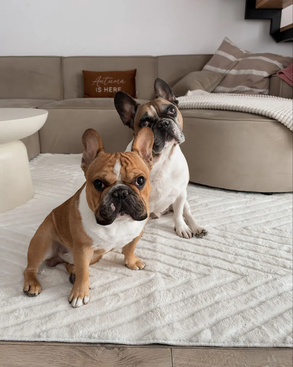 Rug TWYNAM Off-White 160 x 230 cm_1194048