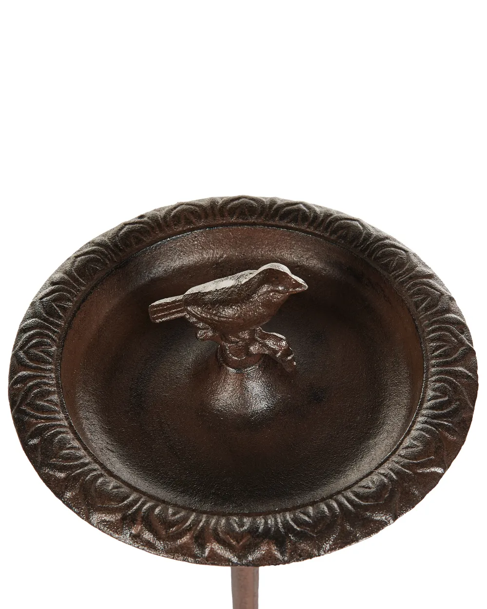 Bird Bath SWALLOW Brown_956213