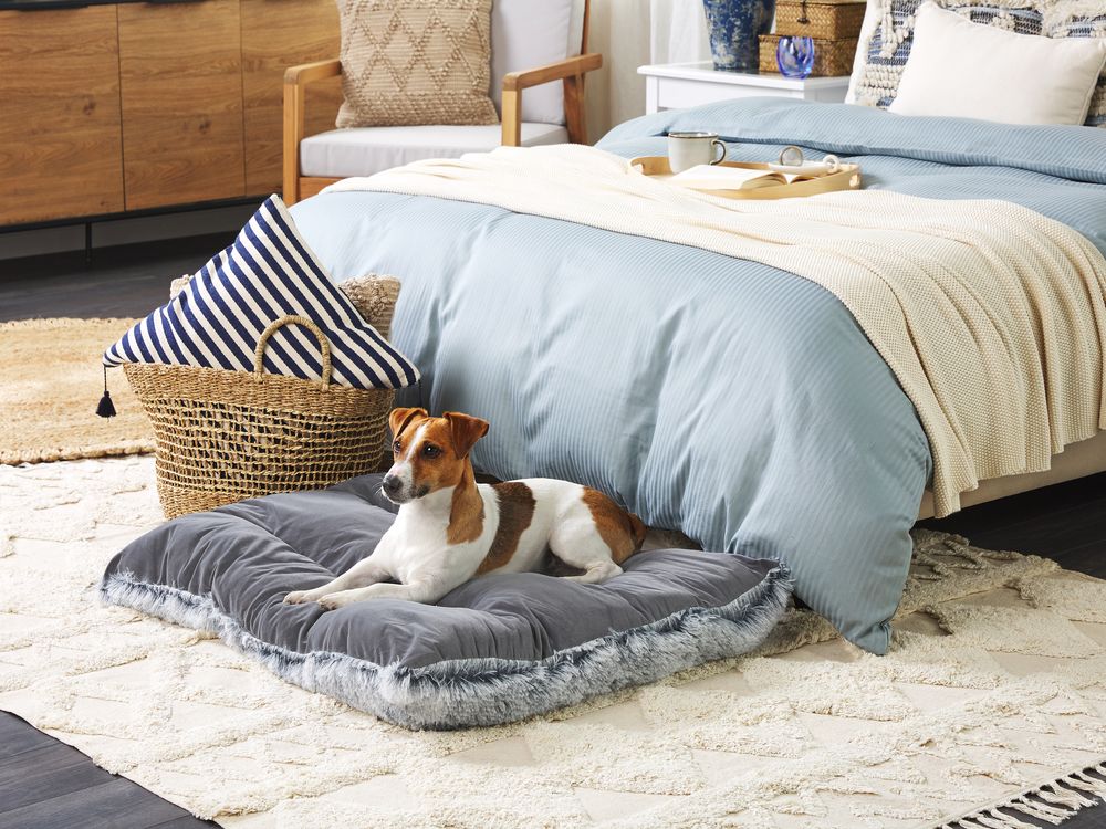 Pet Bed ERGANI Velvet Grey Beliani.at