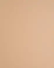 Set di 2 sedie da pranzo WINDUST Metallo Beige_1076828
