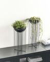 Set of 2 Metal Plant Pot Stands Black FICARIA_933792