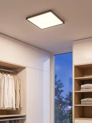 Plafonnier à LED CEREON Avec télécommande Avec variateur Noir_1167863