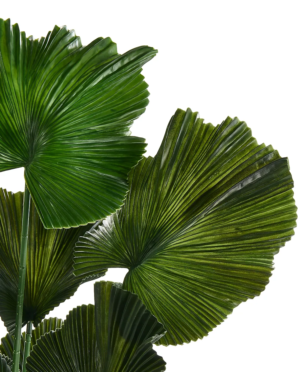 Artificial Plant RUFFLED FAN PALM 98 cm Green_1185283