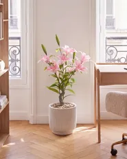 Artificial Plant LILIARIUM 85 cm Pink_1103845