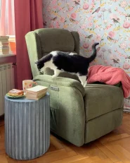 Fauteuil inclinable électrique ELEGY Repose-pieds inclus Tissu Vert_1171357