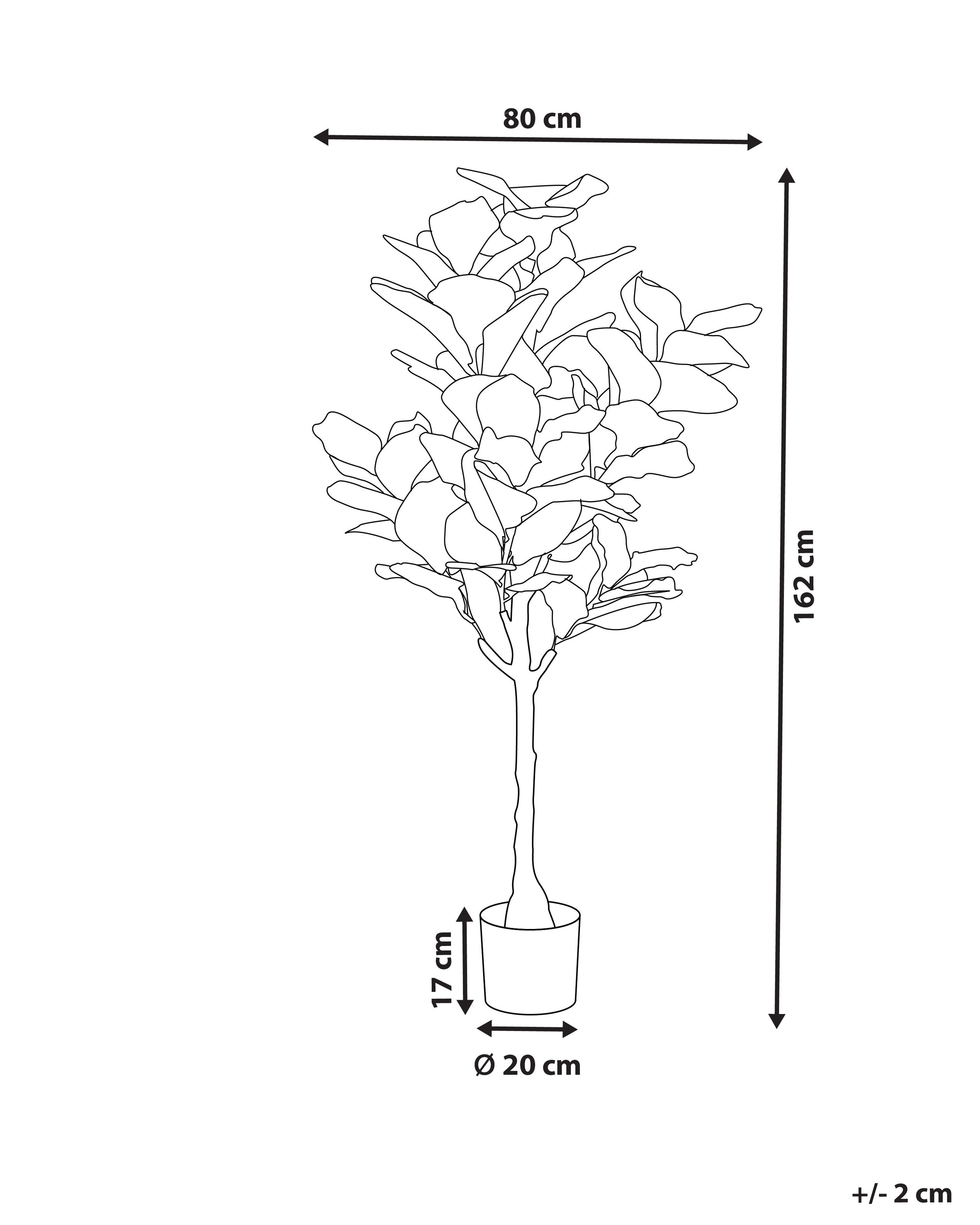 Tekokasvi 162 Cm FIG TREE Beliani fi tekokasvi-162-cm-fig-tree-beliani-fi