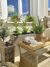 Set de terrasse table et 2 fauteuils en rotin beige PONZA_813125