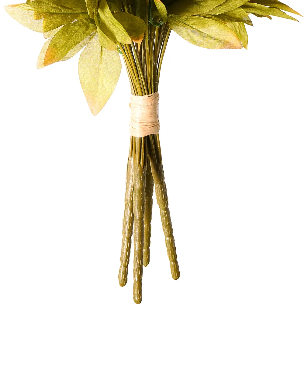 Stai acquistando Leaf Fioriere in ceramica per interni cachepot, 12,5