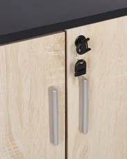 Storage Unit ZEHNA Brown/ Black_885534