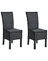 Set of 2 Dining Chairs ANDES Rattan Black
