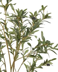 Sztuczna roślina OLIVE TREE 153 cm Zielony_901151