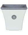 Set of 2 Plant Pots 37 x 37 x 35 cm White ELATEIA_860226