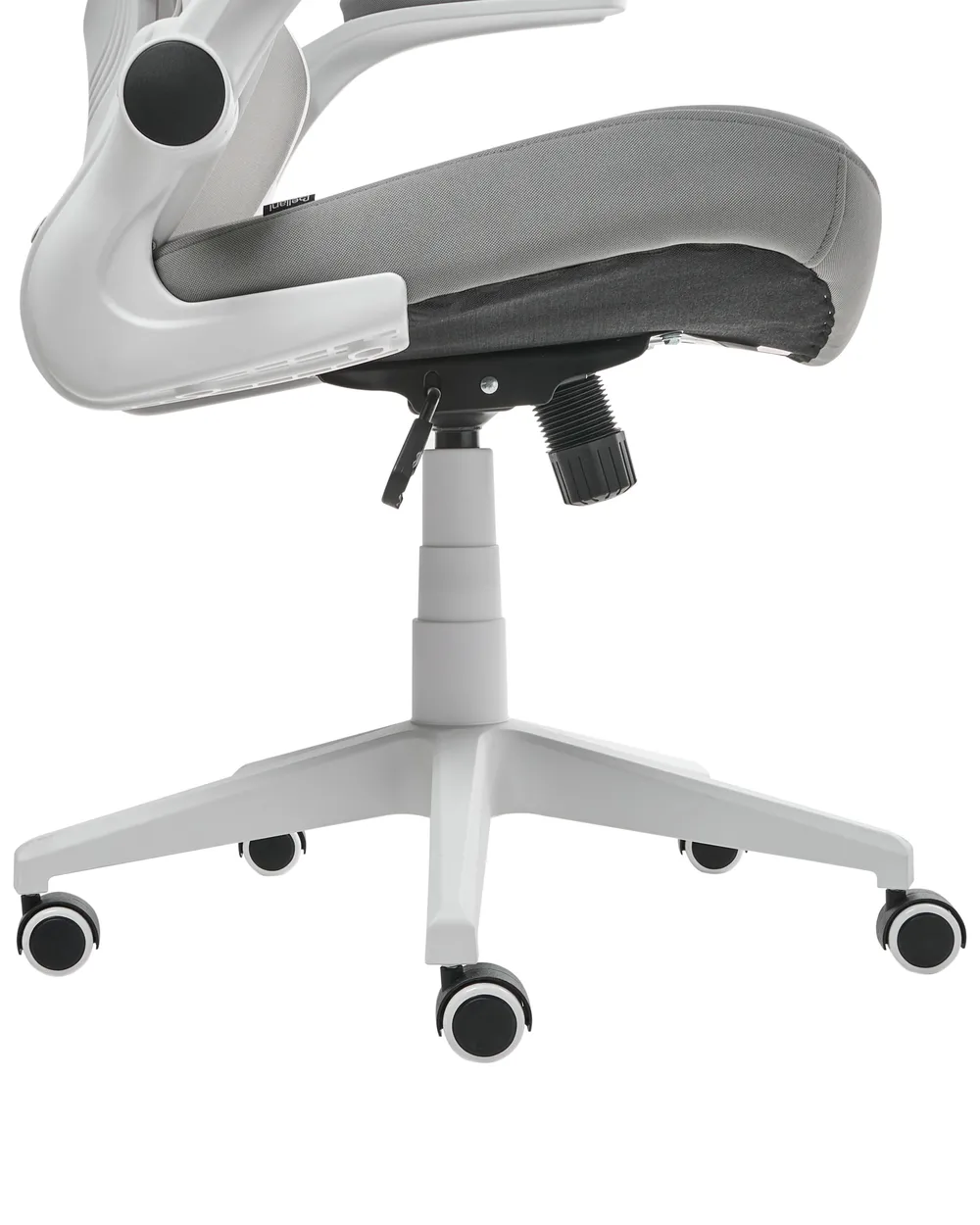 Sedia da ufficio PALADIN Grigio chiaro_1009886