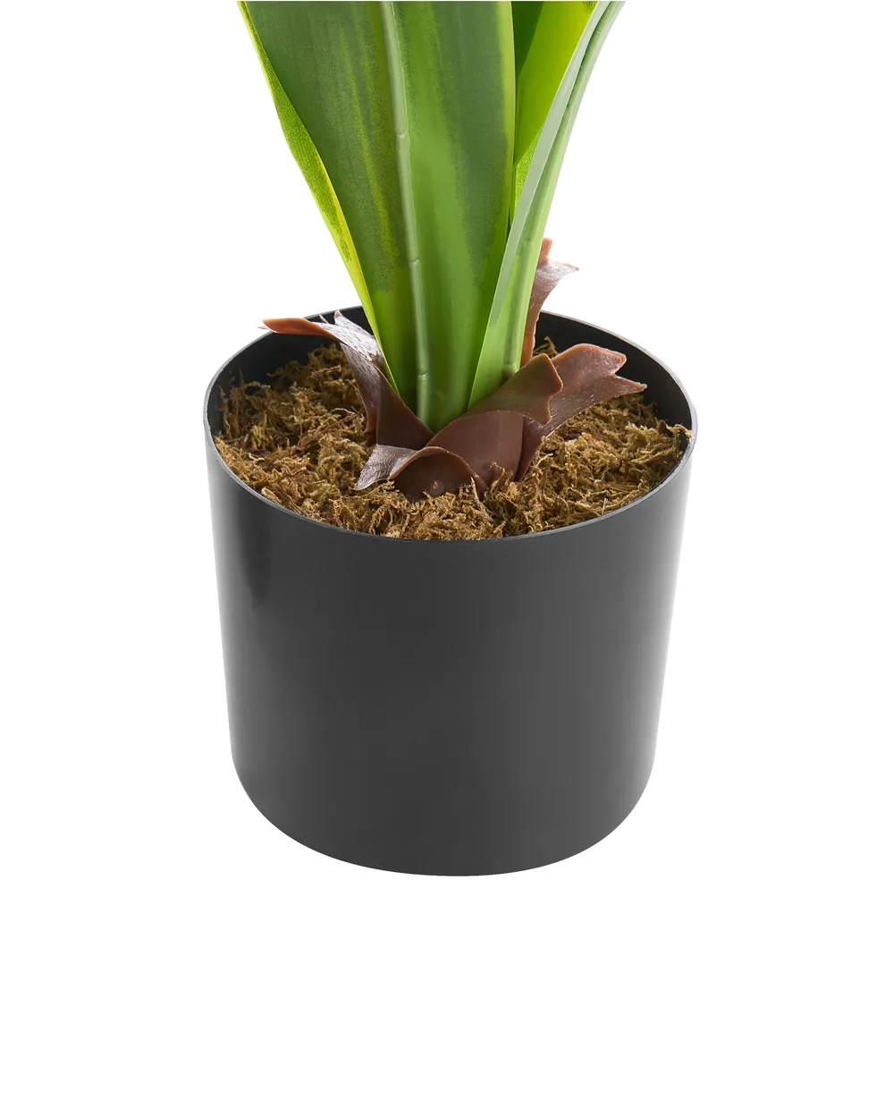 Sztuczna roślina DRACAENA TREE 150 cm Zielony_1103910