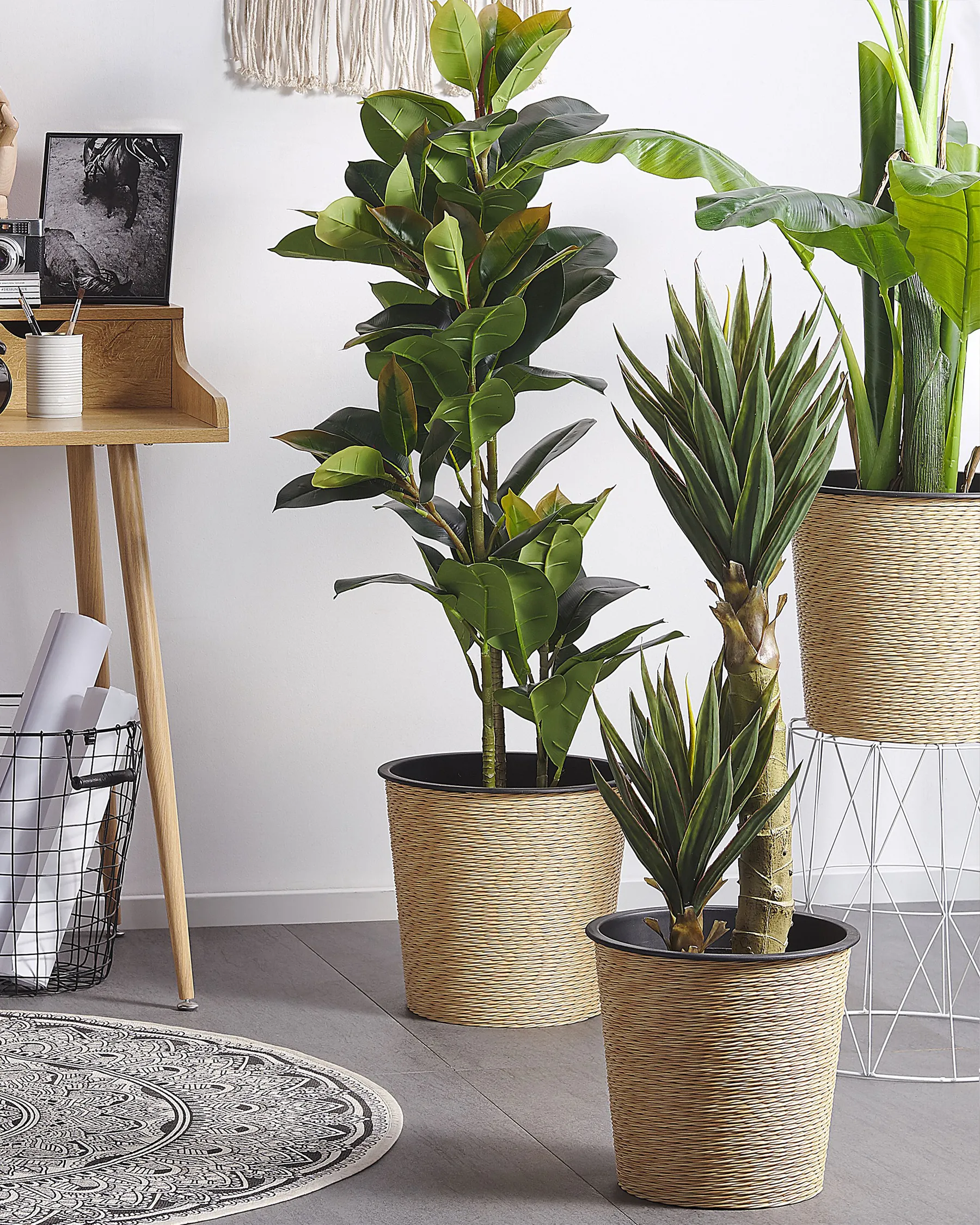 Sztuczna roślina doniczkowa 134 cm FICUS ELASTICA_774496