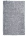 Tapis gris clair 140 x 200 cm CIDE_746774