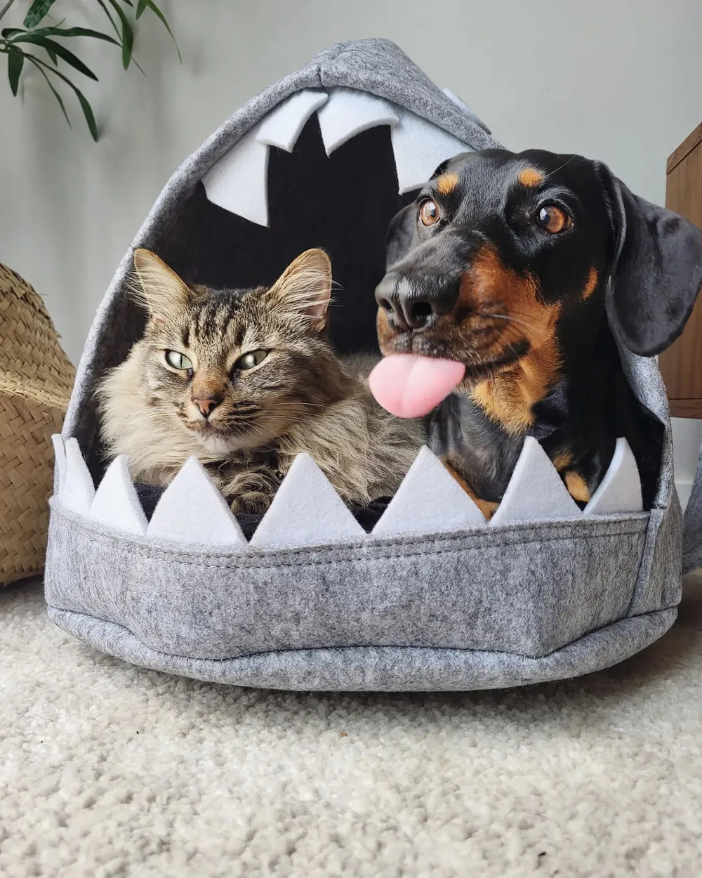 Pet Bed PIRANHA Felt Light Grey_845770