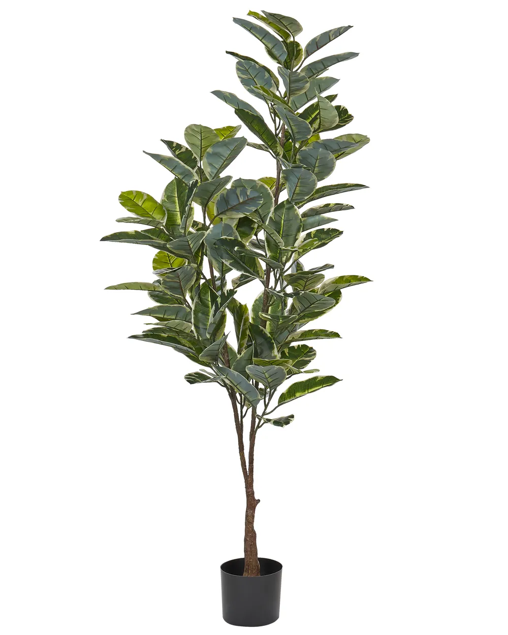 Sztuczna roślina FICUS ELASTICA 160 cm Zielony