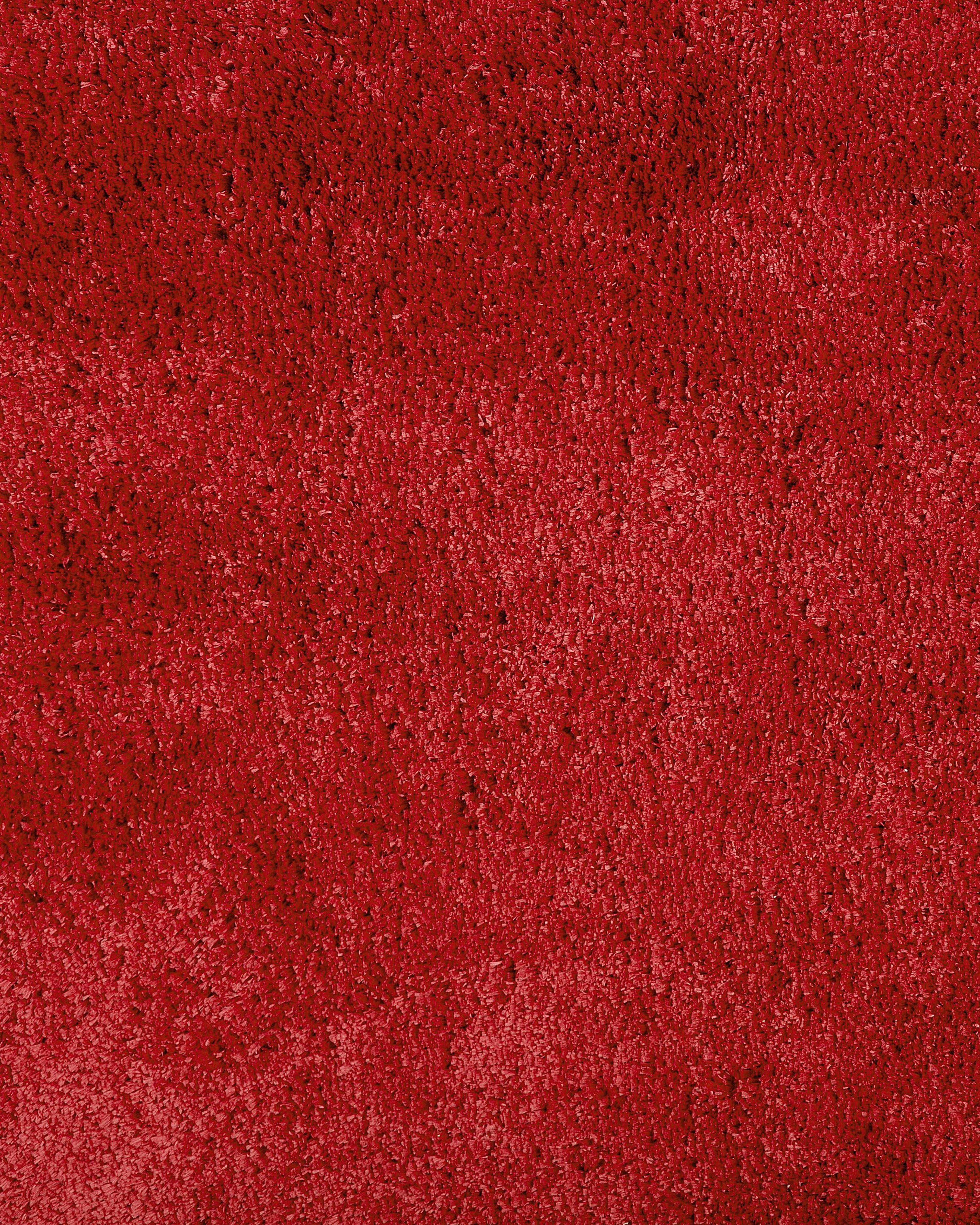 Tapis à poils longs EVREN Rouge 80 x 150 cm_758814