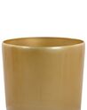 Lot de 2 cache-pots dorés ⌀ 32 cm TSERIA_844436