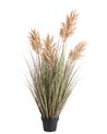 Sztuczna roślina MISCANTHUS GRASS 120 cm Brązowy