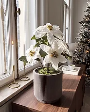 Pianta artificiale CHRISTMAS FLOWER 61 cm Bianco_1174958