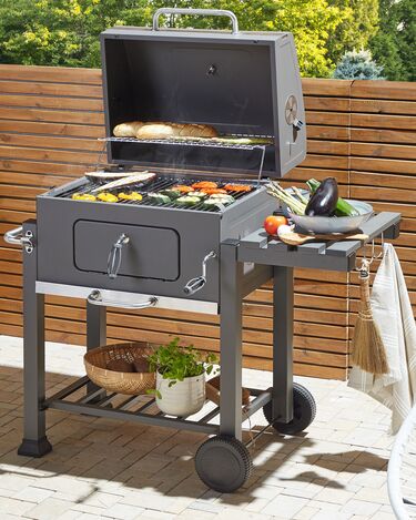 Charcoal BBQ Grill Grey PAVLOF