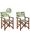 Conjunto de 2 sillas de jardín CINE Madera de acacia Verde claro