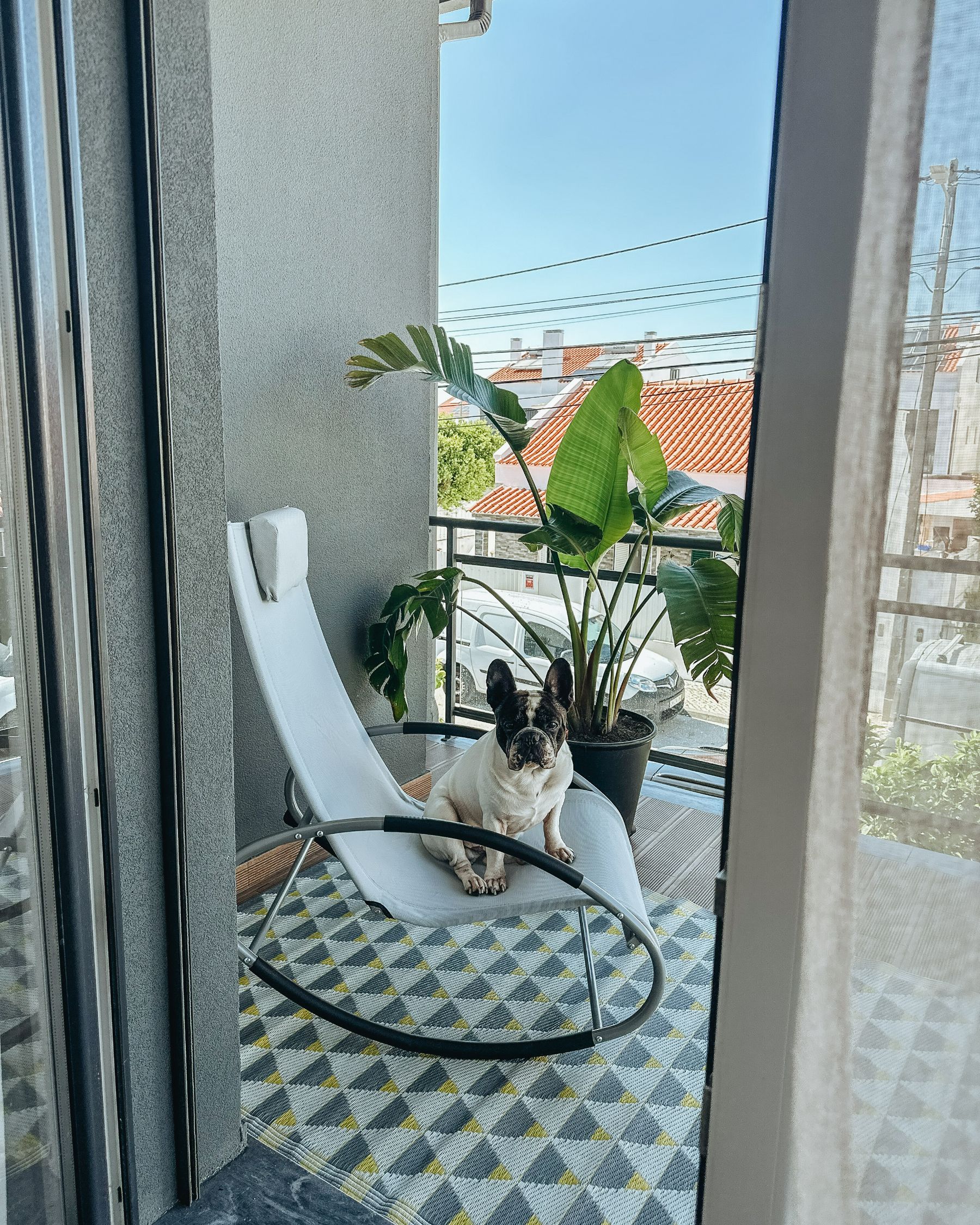 Krzesło ogrodowe bujane szare CAMPO_983652