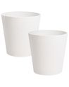 Set mit 2 Blumentöpfen ARMERIA 50 cm Weiss