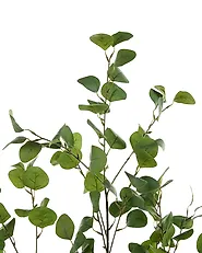 Artificial Plant EUCALYPTUS TREE 156 cm Green_1185275