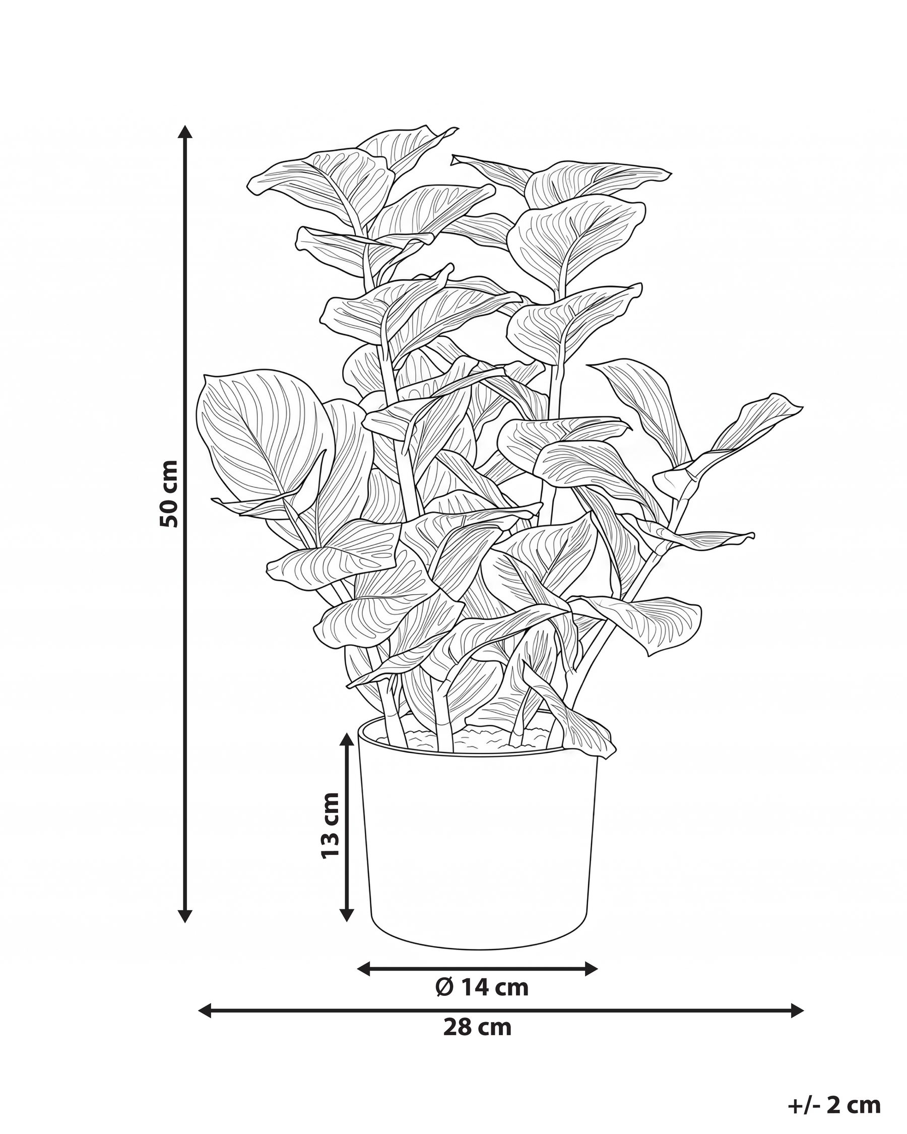 Sztuczna roślina ORBIFOLIA 50 cm Zielony_1069519