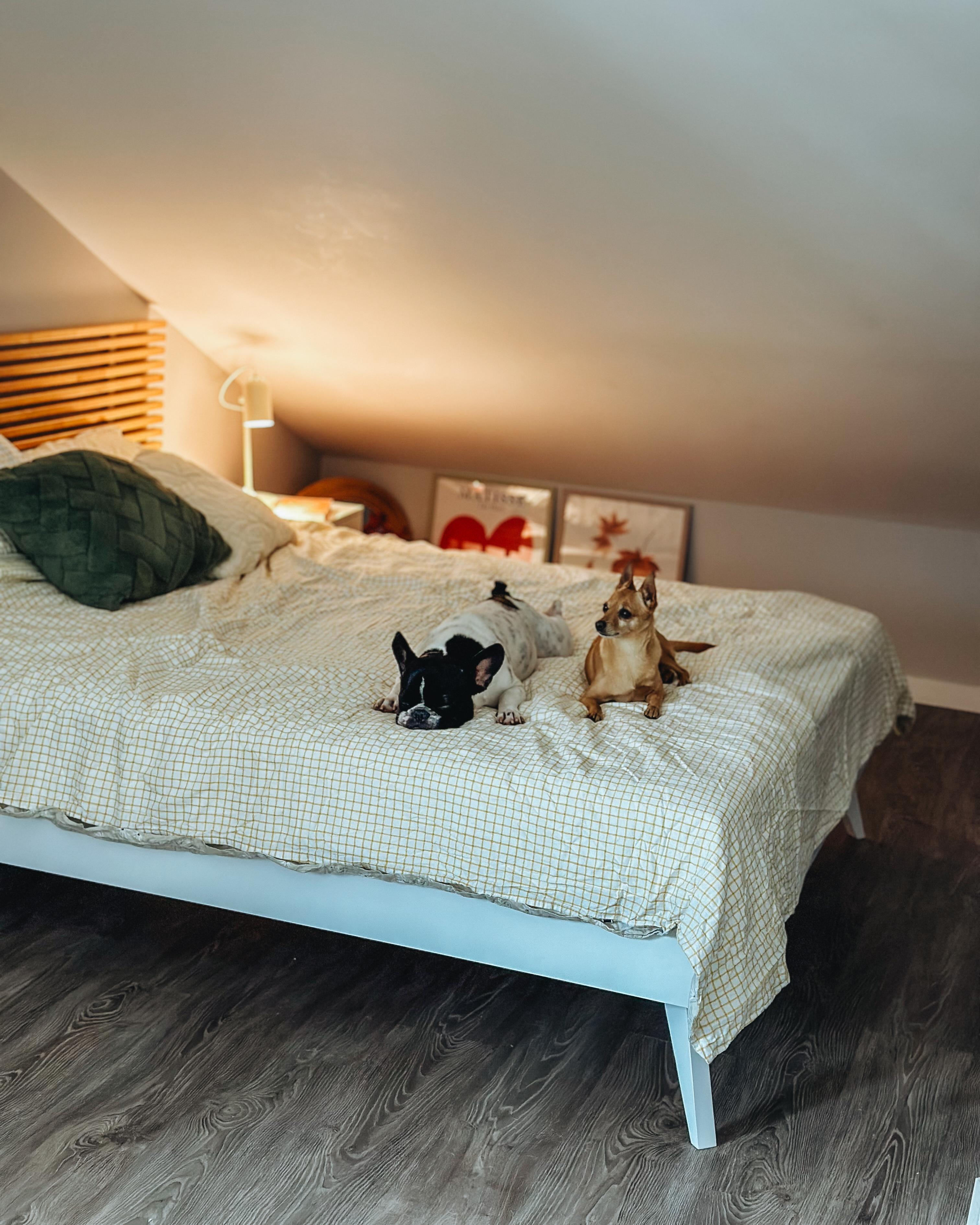 Bett ohne Kopfteil BERRIC 160 x 200 cm Weiß_943287