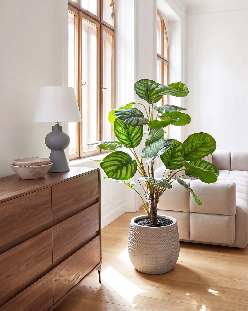 Plante artificielle CALATHEA 78 cm Vert