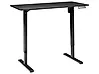 Electric Adjustable Standing Desk TAVARES 120 cm x 60 cm Black