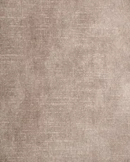 Set of 4 Dining Chairs ROCHEPORT Fabric Taupe_1006048