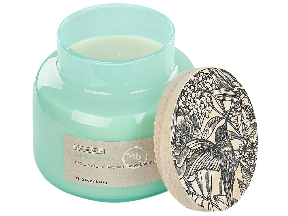 Scented Candle DELIGHT BLISS Soy Wax Fresh Notes_874806