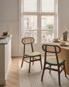 Set of 2 Dining Chairs FALLON Wood Brown/ Green