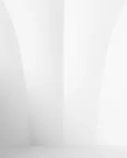 Set of 2 Dining Chairs SYLVA White_783898