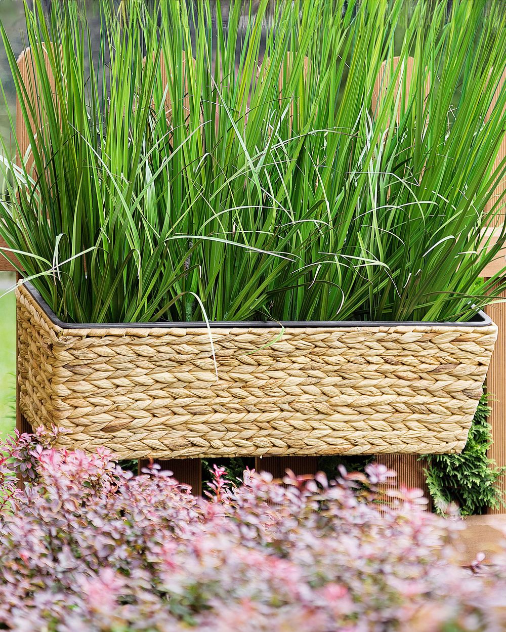 Blumenkübel KAWALA 60 cm Wasserhyazinthe Sandbeige