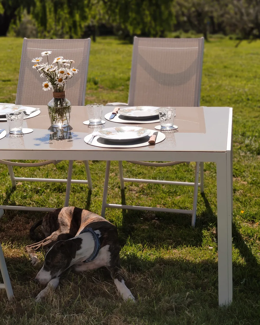 Garden Dining Set 6 Seater CATANIA Metal Beige_922957